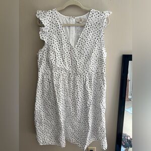 NWT Ann Taylor Loft dress